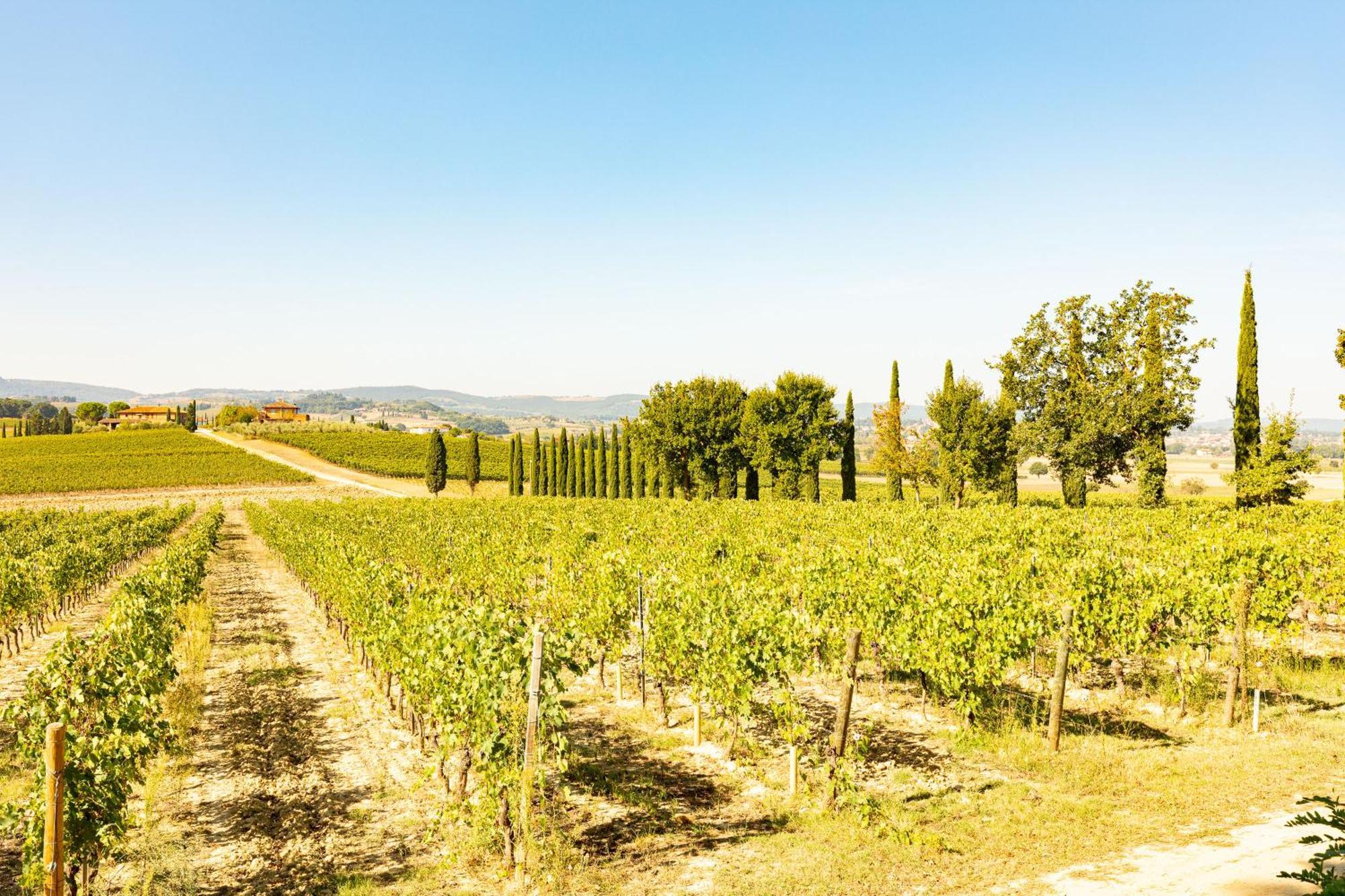 Prugnolo Villa Montepulciano Stazione Dış mekan fotoğraf