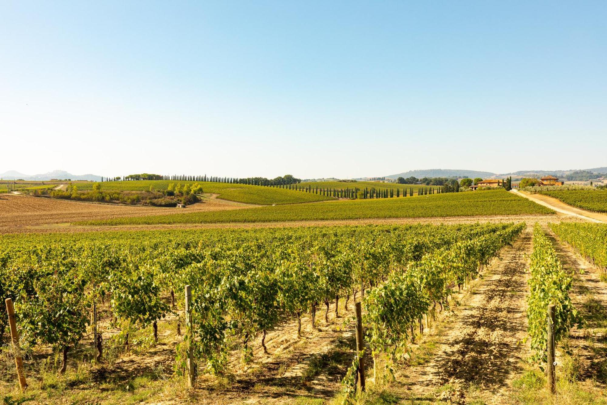 Prugnolo Villa Montepulciano Stazione Dış mekan fotoğraf